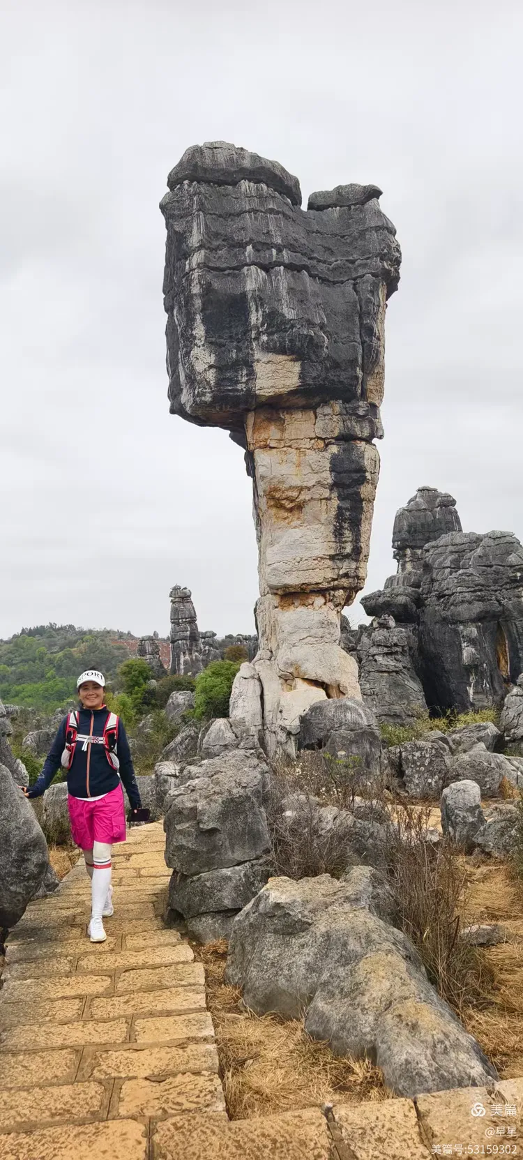 眼前是一片像万年灵芝一样的石林万年灵芝紧邻李子园箐的比目潭旁,石